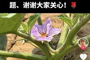 里程碑+1！詹姆斯生涯抢断数超德雷克斯勒 升至历史第八